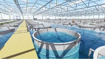 四川玻璃鋼養魚池水產養殖系統 - 橋水科技